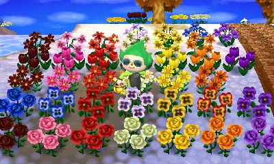 all the hybrid flowers that can exist in the game, grown by one intrepid user! all the hybrid flowers that can exist in the game, grown by one intrepid user!